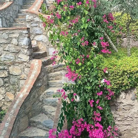 Villa Sevinc Papatya House *