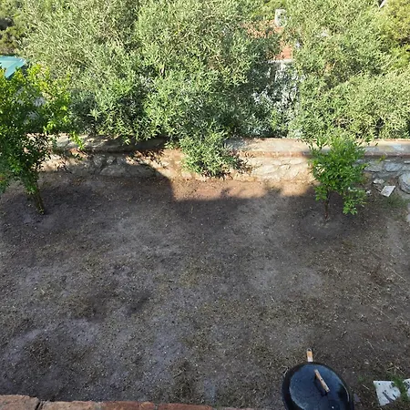 Sevinc Papatya House * Milas