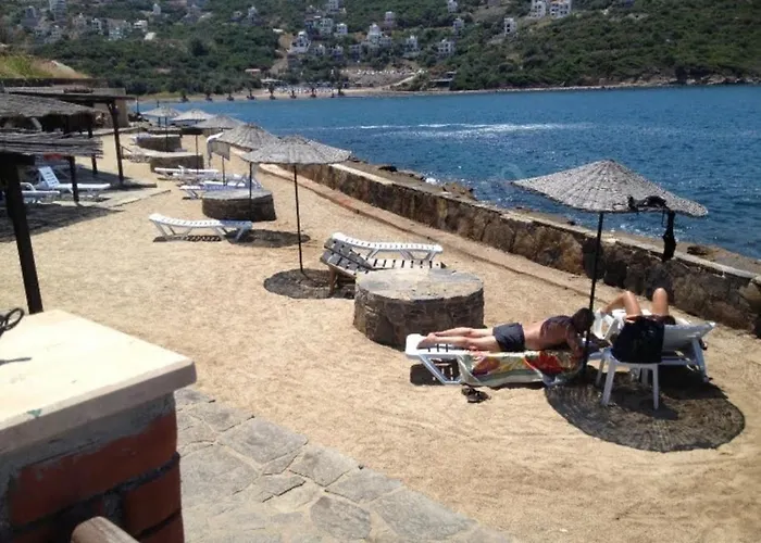 Βίλα Sevinc Papatya House