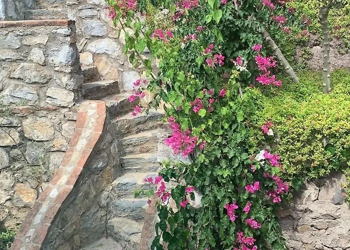 Βίλα Sevinc Papatya House *