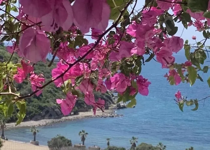 Sevinc Papatya House Βίλα Milas