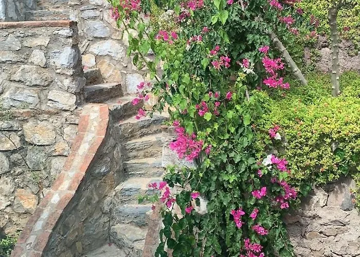 Sevinc Papatya House Миляс