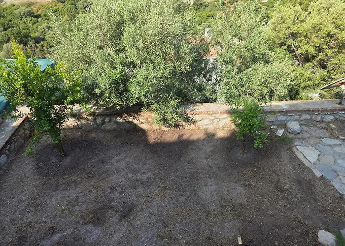 Sevinc Papatya House