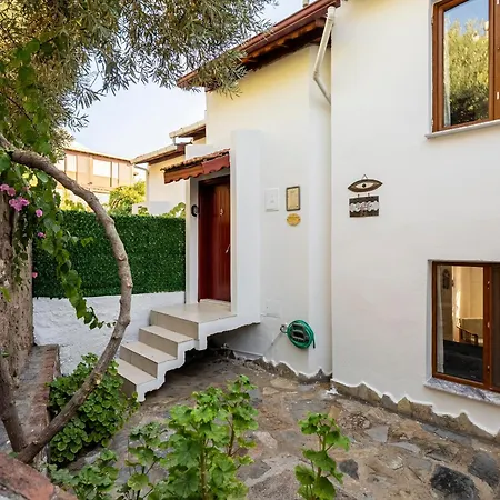 Sevinc Papatya House *