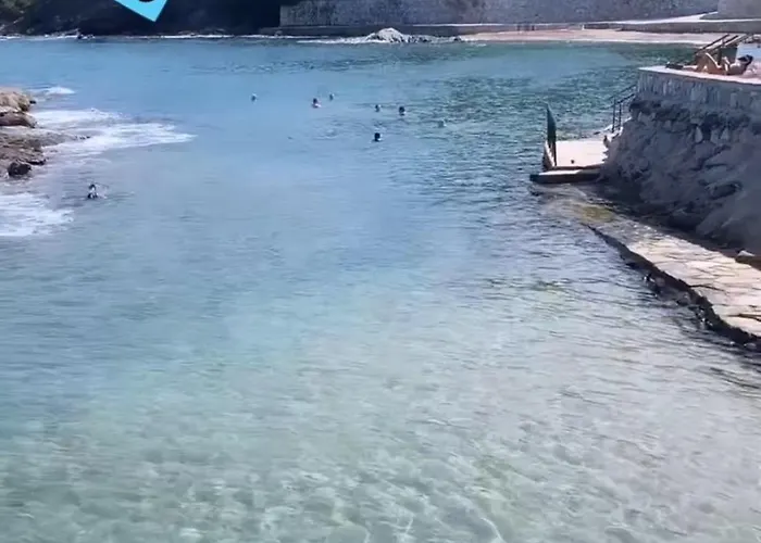 Sevinc Papatya House