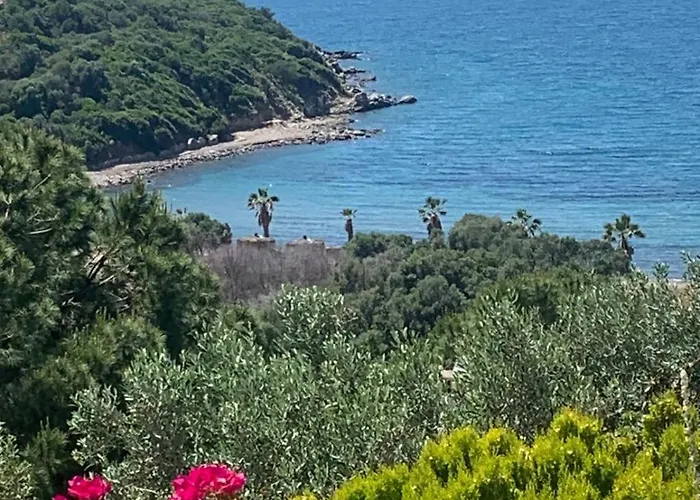 Villa Sevinc Papatya House Milas